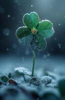 AI generated Green four leaf clover with water drops and dark background photo