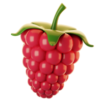 Frais framboise fruit icône sur 3d le rendu. 3d illustration de fruit icône png