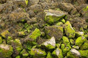 Big stones in the beach photo