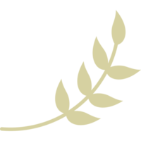 Branch decor plant png