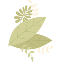 feuilles branche décor png