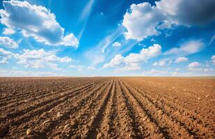 ai generado agrícola campo en cuales crecer arriba marrón suelo azul cielo con blanco nubes foto