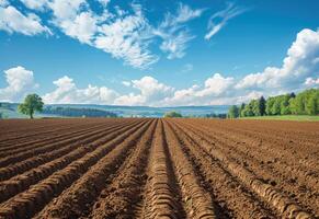 AI generated Furrows row pattern in plowed field prepared for planting crops in spring photo