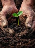 AI generated Farmer's hands planting the seedlings into the soil photo