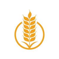 logo de trigo de agricultura vector