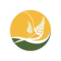 logo de trigo de agricultura vector