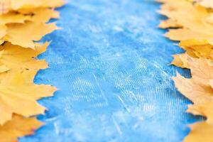 Autumn leaves frame on blue background top view Fall Border yellow and Orange Leaves vintage structure table Copy space for text. photo