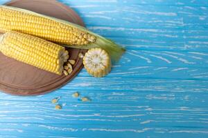 Corn cob with green leaves lies on Round cutting board. blue color background. photo