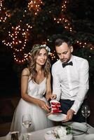 Happy bride and groom cut the wedding cake in the front garland light decoration. Wedding evening outdoor. Sweet happy life concept photo