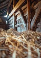 AI generated Hay and straw in barn. A close-up photo of hay in an old barn