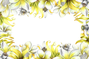 une Cadre avec parfumé fleurs de plumeria, frangipanier, Orange fleur et ylang Ylang. ancien élégant Cadre avec tropical fleurs et papillons. dessiné à la main aquarelle illustration. png