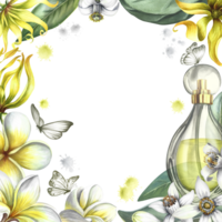 un marco con perfume flores de plumería, frangipani, naranja florecer y Ylang Ylang. Clásico delicado marco con tropical flores y mariposas dibujado a mano acuarela ilustración. para postales png