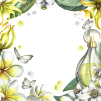 un' telaio con profumo fiori di plumeria, frangipane, arancia fiorire e ylang-ylang. Vintage ▾ delicato telaio con tropicale fiori e farfalle. disegnato a mano acquerello illustrazione. per cartoline. png