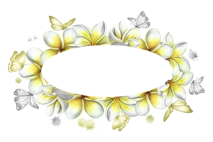 Oval frame with plumeria and butterflies, tropical fragrant frangipani flowers. Hand-drawn watercolor illustration. For packaging and labels. For posters, flyers, greeting cards and invitations. png