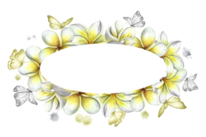 Oval Rahmen mit Plumeria und Schmetterlinge, tropisch duftend Frangipani Blumen. handgemalt Aquarell Illustration. zum Verpackung und Etiketten. zum Poster, Flyer, Gruß Karten und Einladungen. png