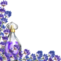 A perfume bottle made of transparent glass with lavender flowers. Vintage purple perfume with lavender scent. A hand-drawn watercolor illustration. Isolate her. For packaging, postcards and labels. png