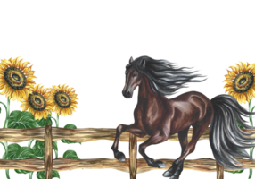 A border frame with a galloping horse, a wooden fence and sunflowers. Hand-drawn watercolor illustration. A rustic style banner. For printing, packaging, postcards and decorations. For posters, flyer. png