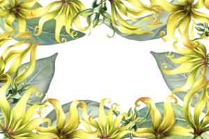 ein Rahmen mit Ylang-Ylang Blumen. ein Rand mit exotisch duftend Gelb Blumen. ein handgemalt Aquarell Illustration. ein Element von das Design von Verpackung, Postkarten und Etiketten. zum ein Banner, ein Flyer png