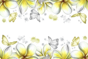 A frame with plumeria, a border of exotic tropical fragrant frangipani flowers. Hand-drawn watercolor illustration. For packaging banners and labels. For posters, flyers, greeting and invitation cards png