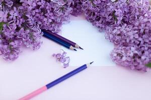 Sheets of white clean paper and spring flowers lilac, on a pink background. photo