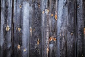 Close up of wooden texture background photo