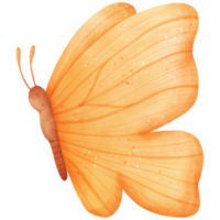 Watercolor Orange Butterfly Illustration png