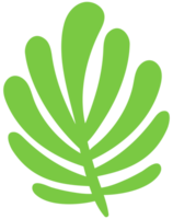 Hej vår hand dragen abstrakt nordic blomma symbol objekt png