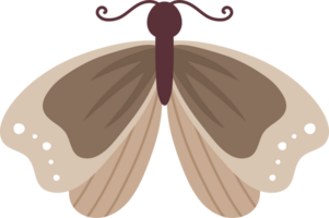 polilla mariposa garabatear ilustración png