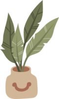 hand drawn houseplant cartoon illustration png