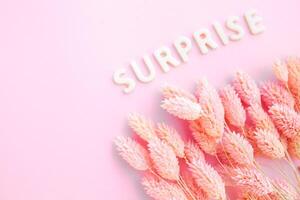 Beautiful pink dried flowers on a pink background with the inscription surprise in white letters and free space for the text photo