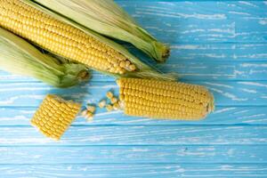 Corn cob with green leaves lies on table blue color background. photo