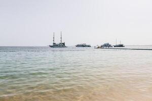 a few passenger ships far on the horizon photo