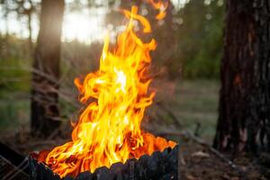Grill with great fire. Flames burst high. Barbecue in nature photo