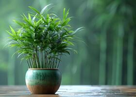 AI generated Potted bamboo plant on wooden table photo