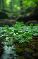 AI generated Green leaves of wood sorrel plant growing in shallow stream photo