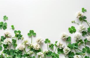 ai generado trébol y blanco flores en blanco antecedentes parte superior ver Copiar espacio foto