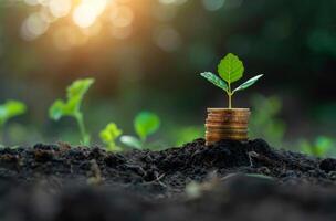 AI generated Tree growing on pile of coins. A stack of coins growing from the ground with green leaves photo