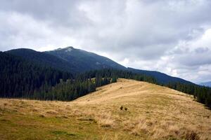 mountain landscape with cloud sky Carpathian Ukraine photo