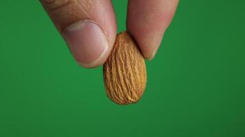 Almond with green background video