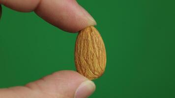 Almond with green background video