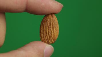 Almond with green background video