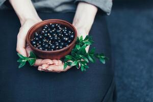 Traditional Chinese tea ceremony with black currant, fruit tea and healthy food. Photo without people. Summer natural vitamins and berries