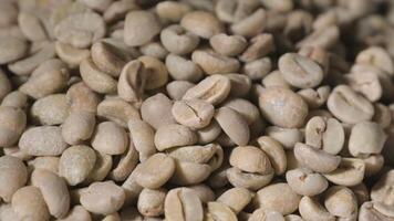 schleppend Bewegung von Grün Kaffee Bohnen fallen. organisch Kaffee Samen. video