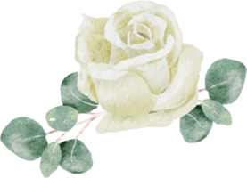 acuarela blanco peonía y Rosa follaje flor ramo de flores guirnalda marco png