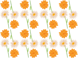A seamless pattern of daisy and orange cosmos PNG transparent background in a hand-drawn gradient color spring floral concept, illustration