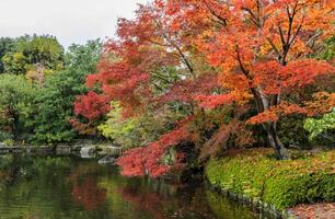 kokoen, jardín japonés tradicional durante la temporada de otoño en himeji, japón foto