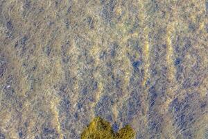 Natural texture in nature with a natural pattern of water waves and stones at the bottom photo