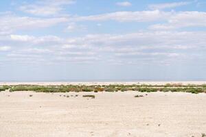 Dry sea endless sand beautiful clouds beautiful landscape estuary. photo