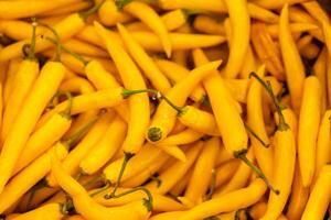 Hot orange pepper, Orange chili peppers, Heap Of Ripe Big yellow Peppers, chili background closeup photo