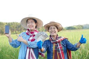 Happy Asian women farmers are at paddy field. They hold smart phone and Thai banknotes money. Concept, Agriculture occupation. Thai farmers. Profit, income. Online apps for promote products photo